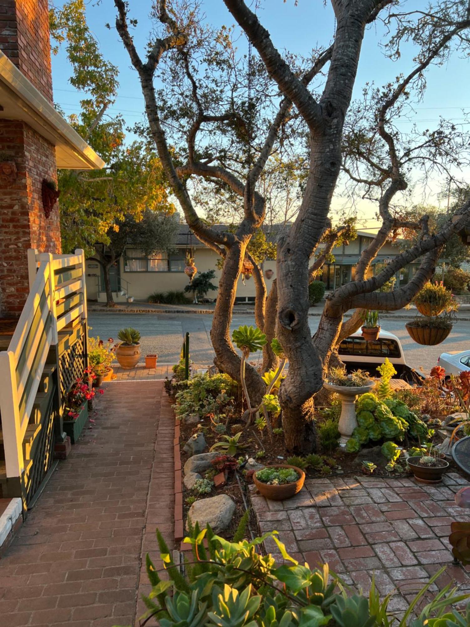 Carmel Garden Inn Esterno foto